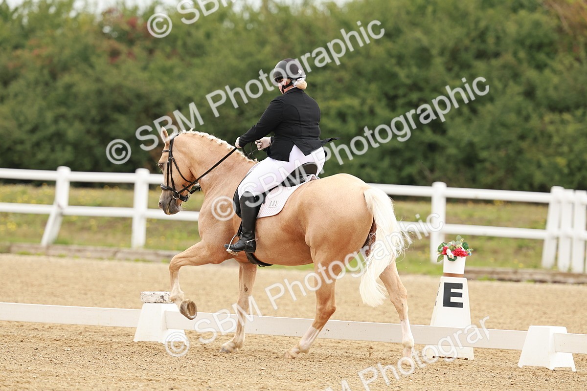 SBM_009137 - Class 12 - Elementary 6 - 9.30-10.34