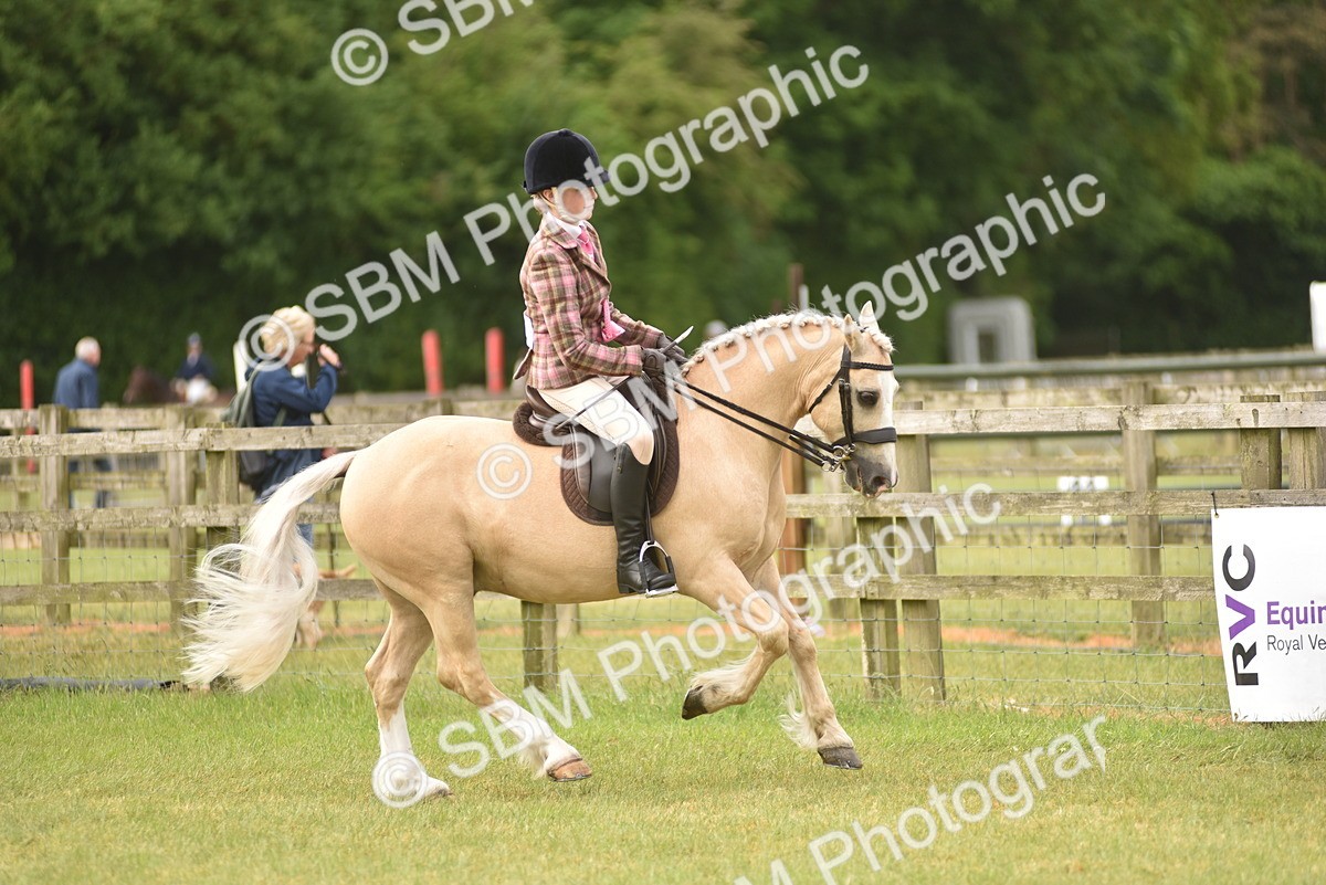 SBM_12081 - Class 110-112 - LIHS BSPS Performance Pones