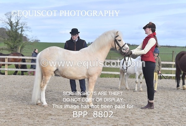 BPP_8802 - RING 2 - M&M