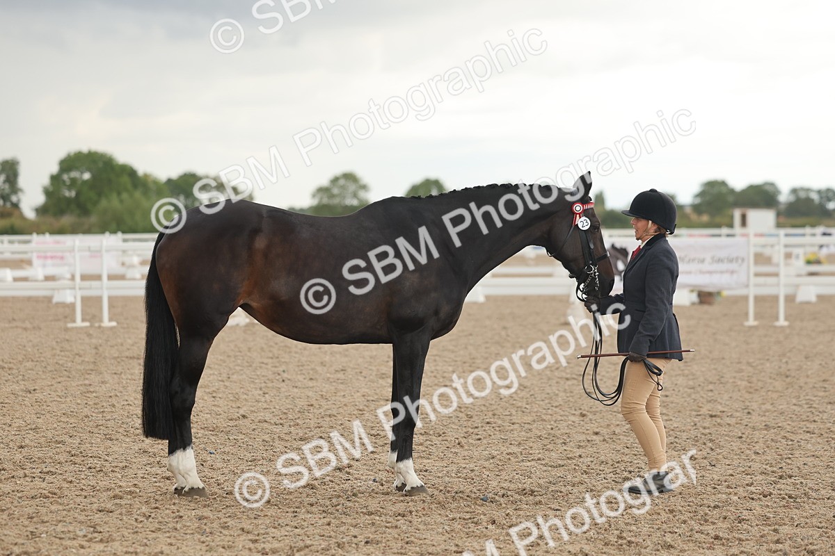 SBM_07671 - Class 26 - IH Foreign Breeds - Part Bred