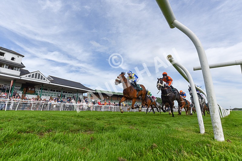 130524-Race 7-Hail Sezer-5494 - Race 7