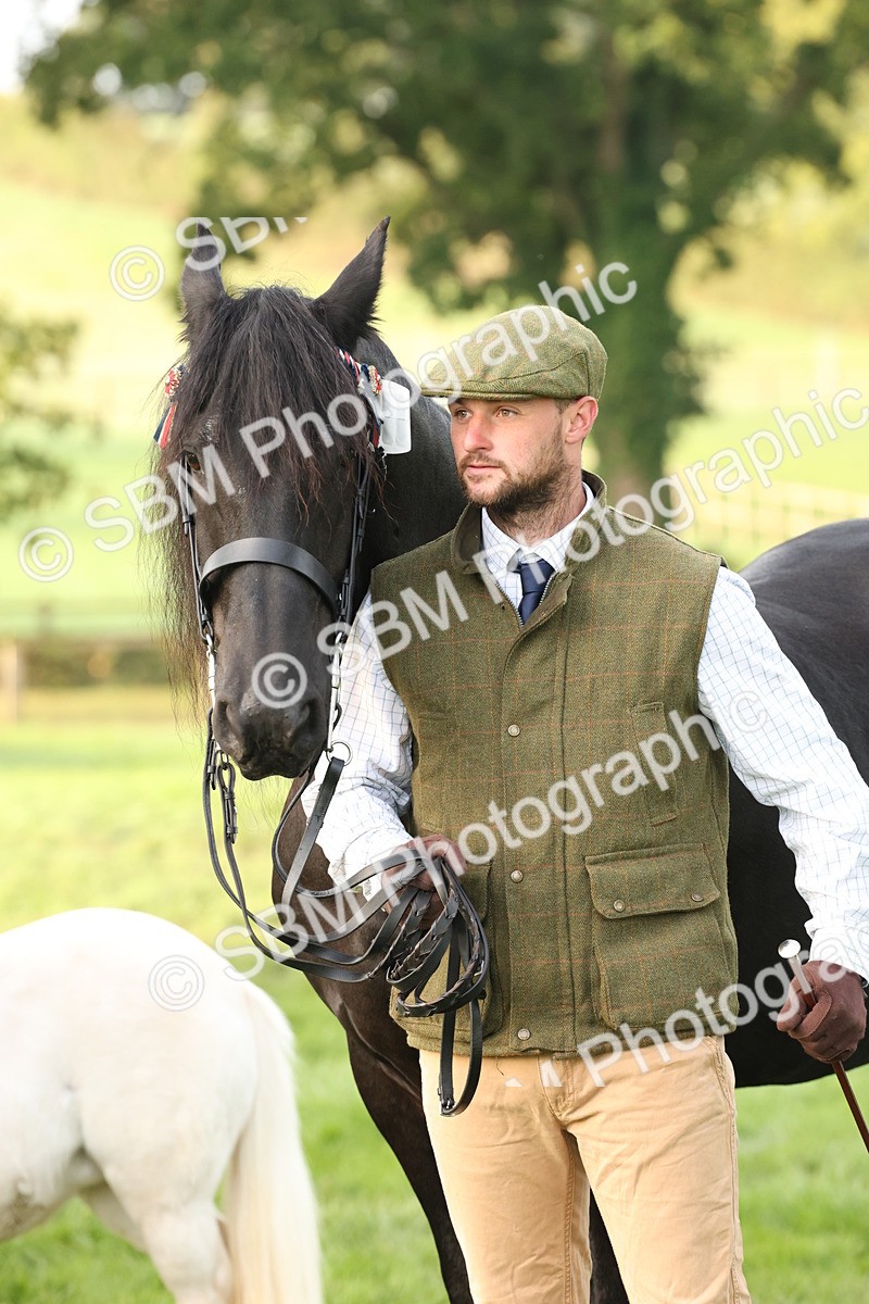 SBM_54428 - S51 - Foreign Breeds In Hand