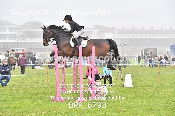 BPP_6793 - CLASS 2 RHS Classic Champ Qual (1.20m)