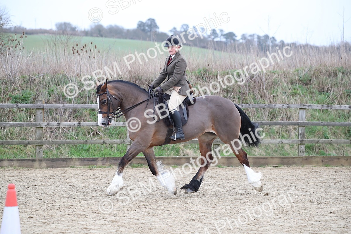 SBM_007251 - Class 10-13 - RIHS Small Large Breeds