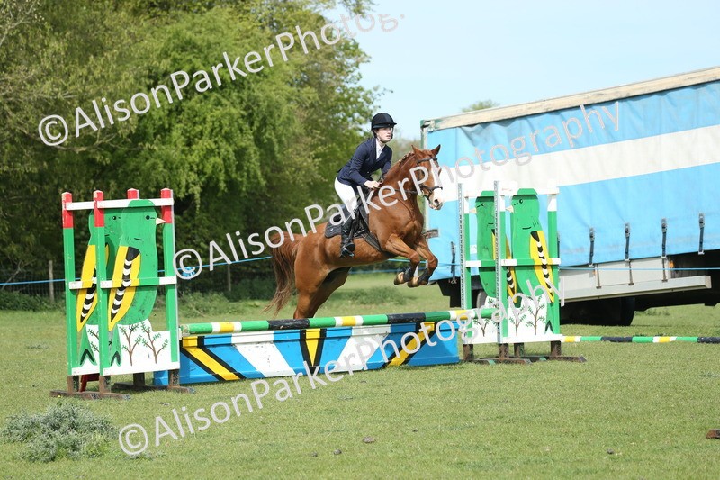 20260426-1497 - Class 14 - Novice 60cm