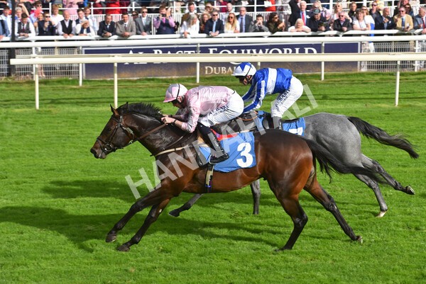 yr24092021r4-32 - Race 4 3.15pm William Hill Play Responsibly British EBF Restricted Novice Stakes