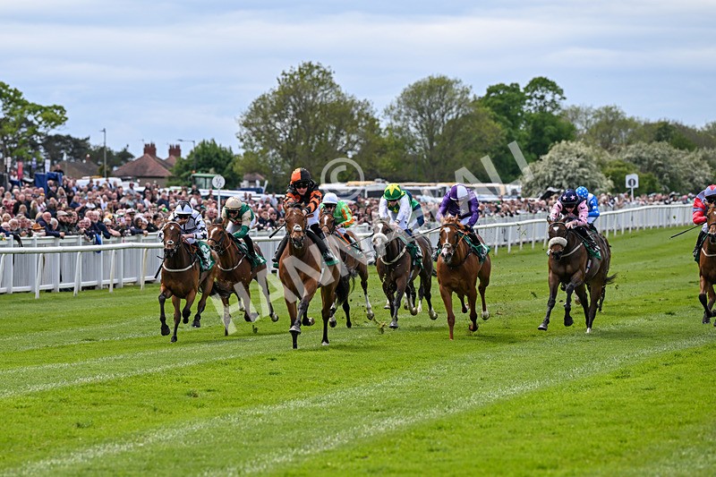 160526-Race 1-Dees Funny Girl-9182 - Race 1 1.52pm Marion Gibson Brown Memorial - Irish EBF Restricted Maiden Fillies' Stakes  (Div I)