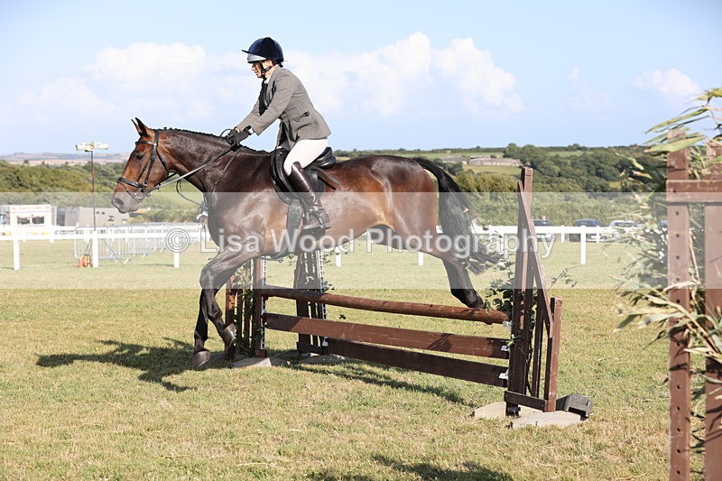 JPP_3127 - Class 21: Working Hunter 80cm