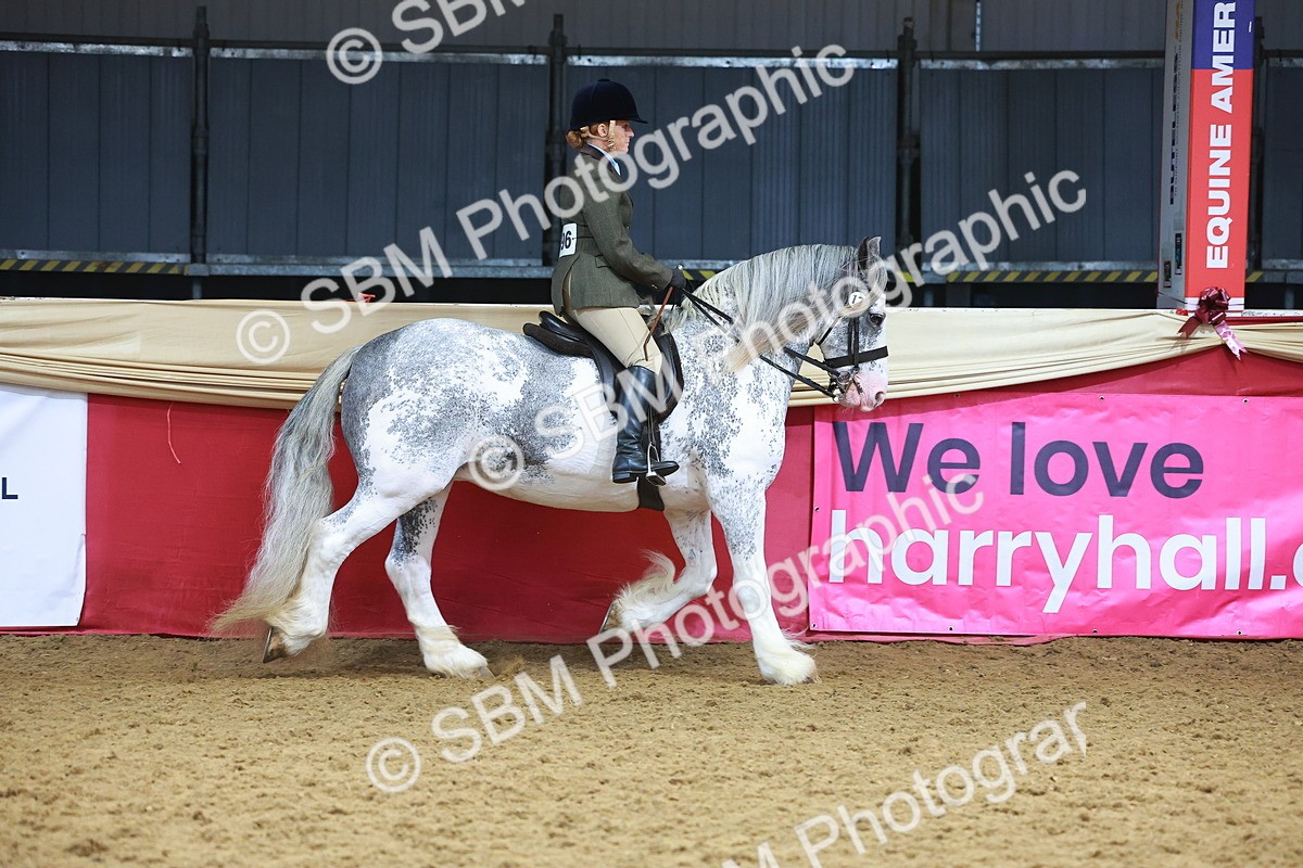 SBM_12414 - Class 103 - HOYS Veteran Qualifier - Ridden Pre Vet