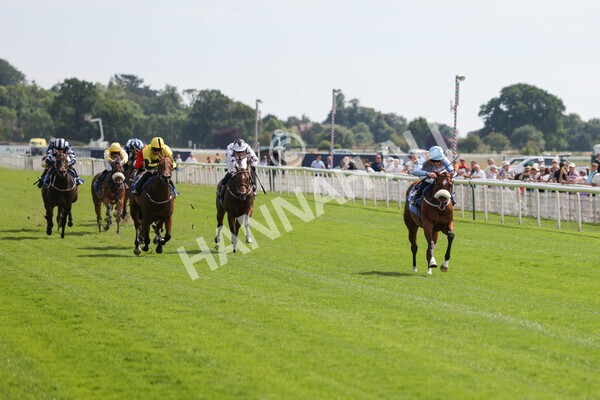 yr08072022r3-13 - Race 3 3.15pm William Hill Play Responsibly Irish EBF Novice Fillies Stakes