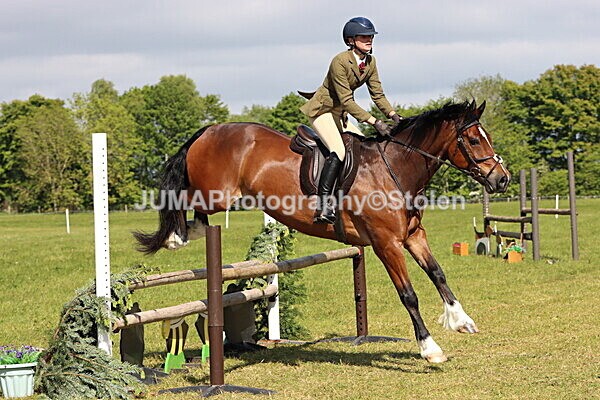 IMG_4713 - Working Hunter