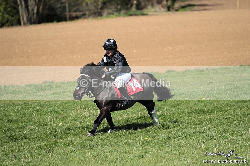 Shet 060426 311 - Shetland Pony Racing Paxford Races Easter Mon 06/04/26