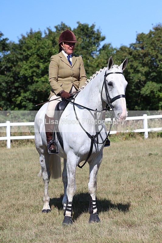 3E7A5886 - Class 5: Working Hunter 90cm