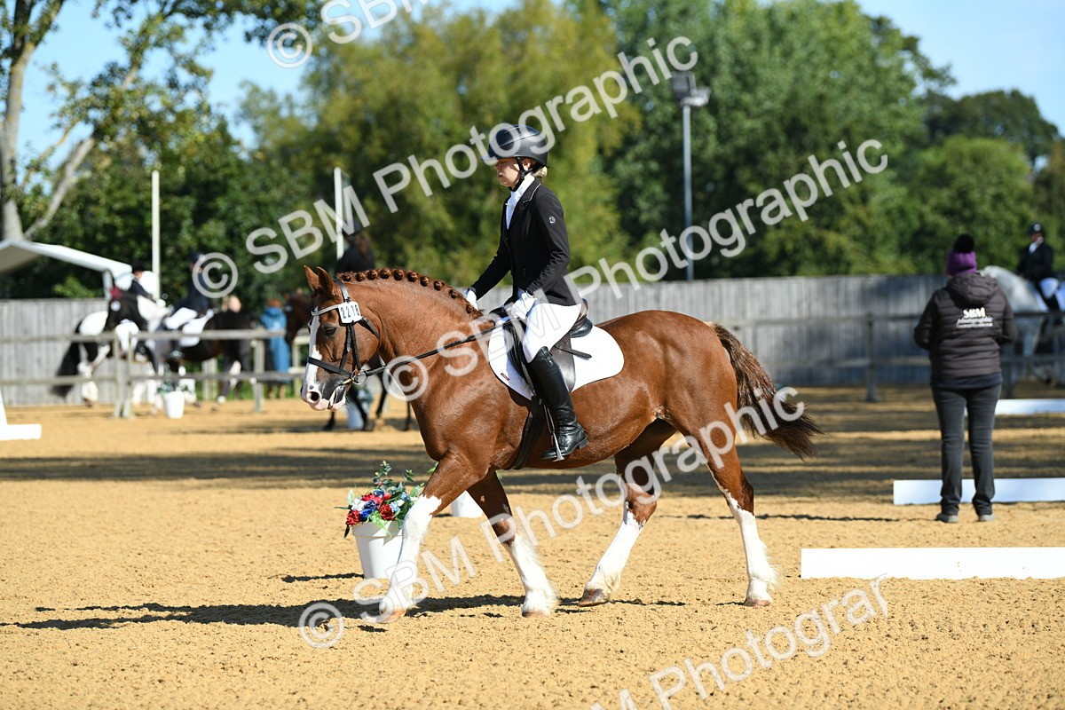 SBM_18031 - D4 - Small Tour Championship - Intro B
