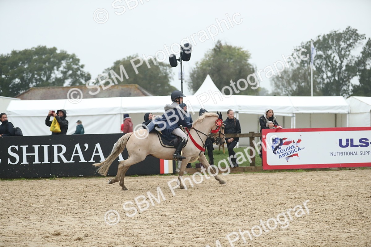 SBM_74358 - Supreme championship Junior Pony 70cm 75cm