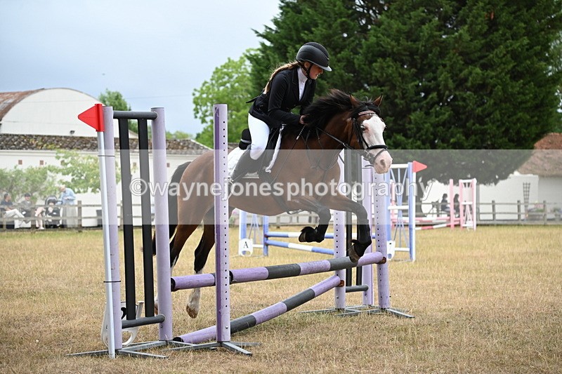 WJ6_0227 - Class 13 Novice Jumping 60cm