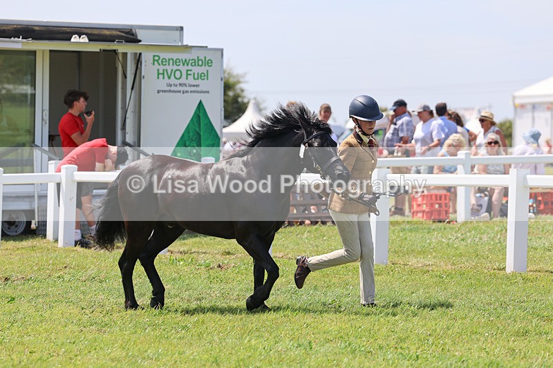 IMG_2803 - Veteran Championship