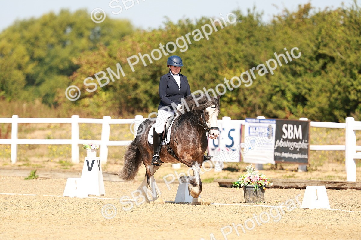 SBM_017779 - Class 9 - N5 Bronze 10.33.11.36