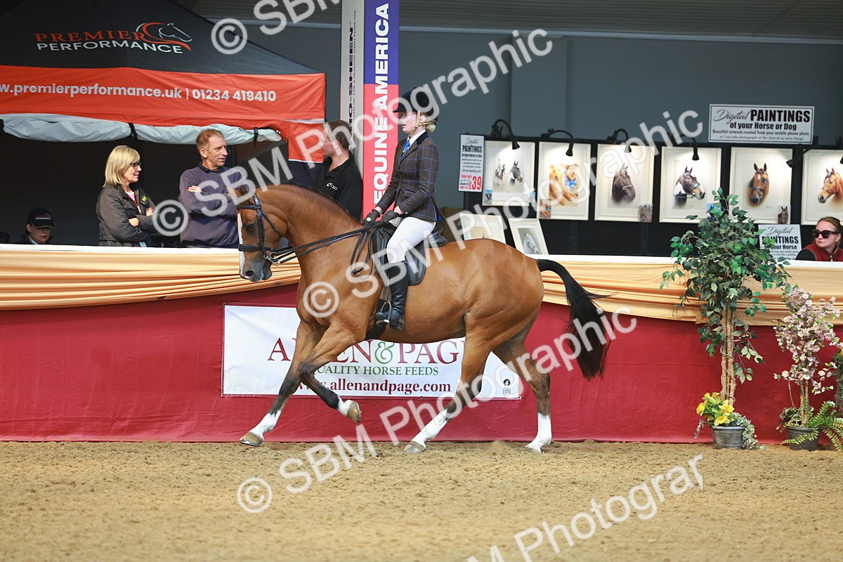 SBM_12546 - Class 103 - HOYS Veteran Qualifier - Ridden Pre Vet