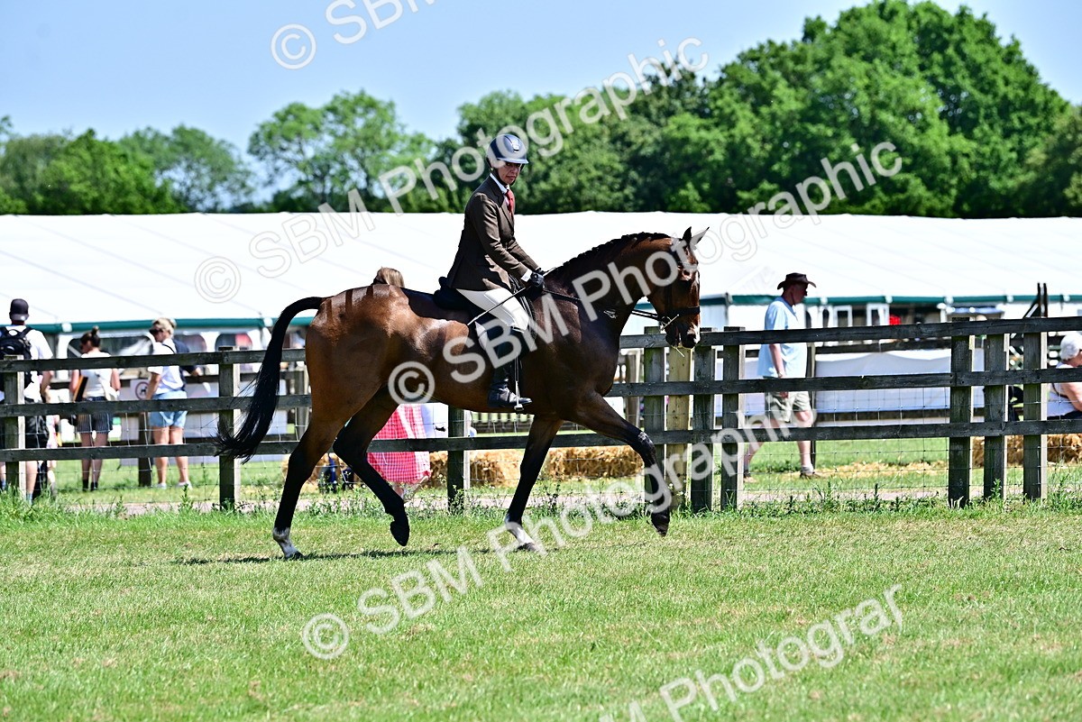 SBM_18126 - Class 99-100 - Retraining of Racehorses Ridden