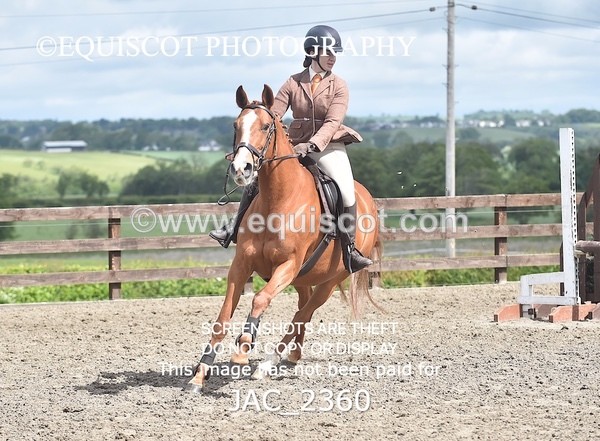 JAC_2360 - CLASS 3 Intermediate Working Hunter