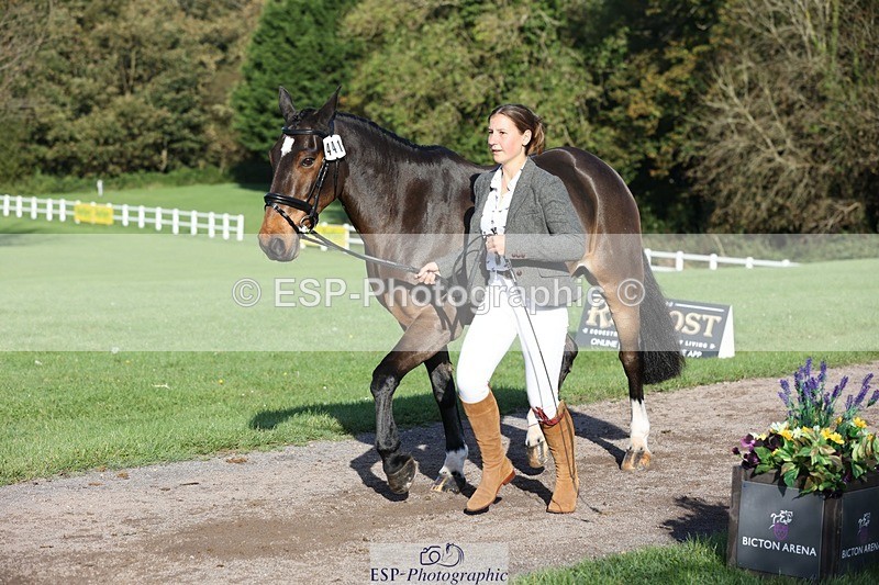 241027-093854-15415 - 441-Molly.Swain-SOCKS