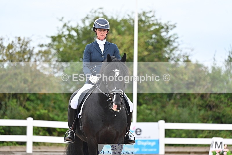 240817A-144628-09676 - 195-Jennie.Medlock-Bric.a.Brac