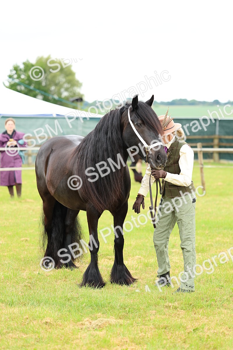 SBM_00563 - Class 58-67 - M&M Non Welsh Pony In hand