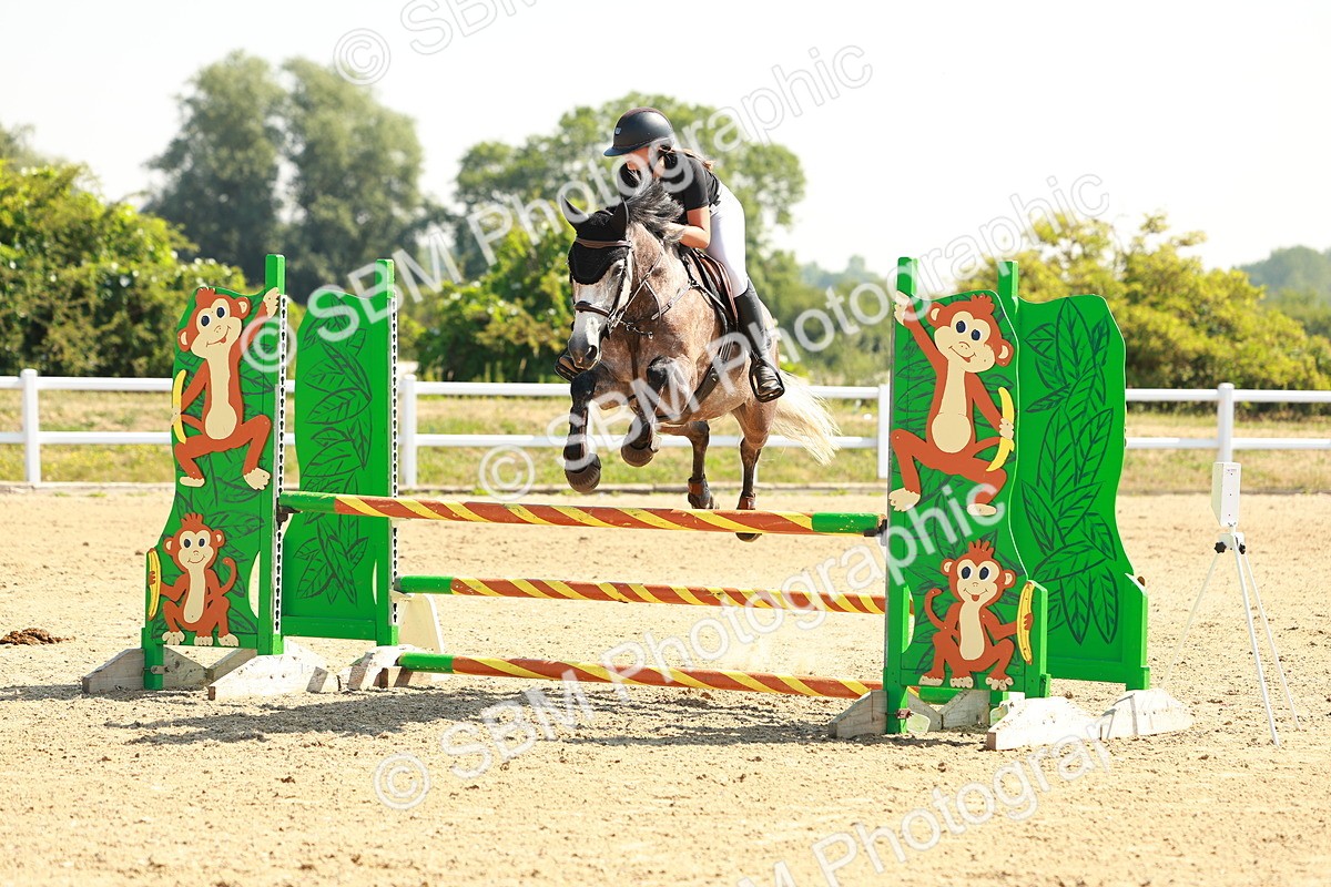 SBM_000253 - Class 2 - Senior British Novice - 90cm