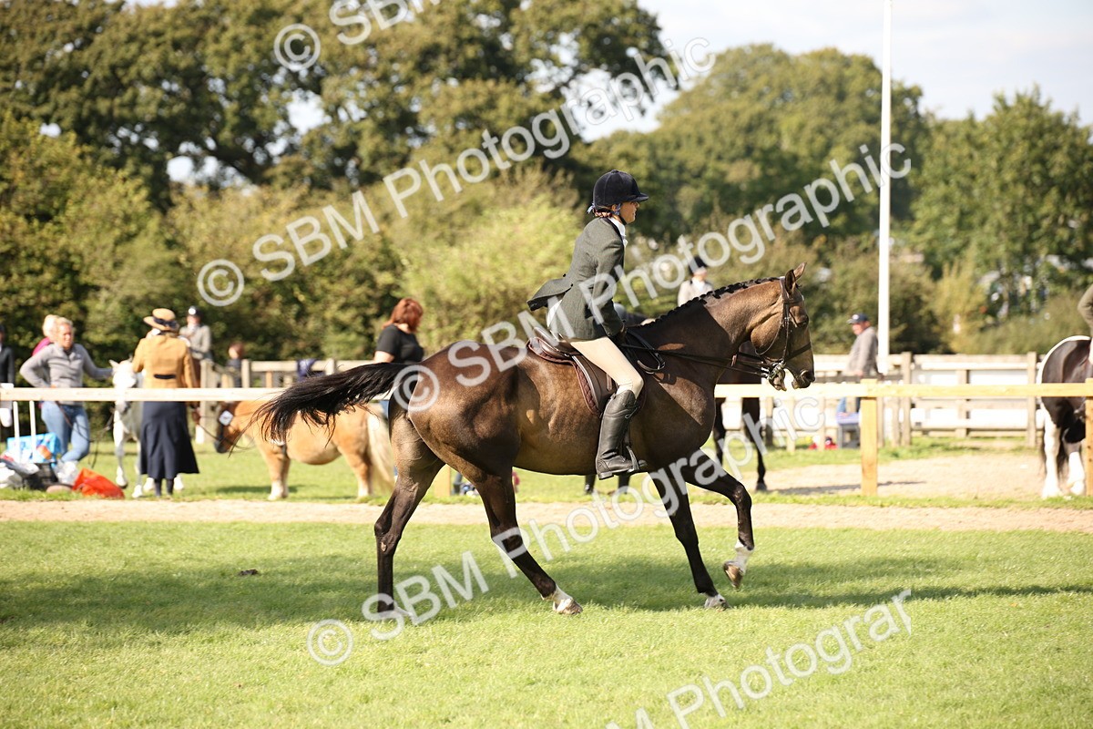 SBM_50061 - S26 - Young Veteran - Ridden