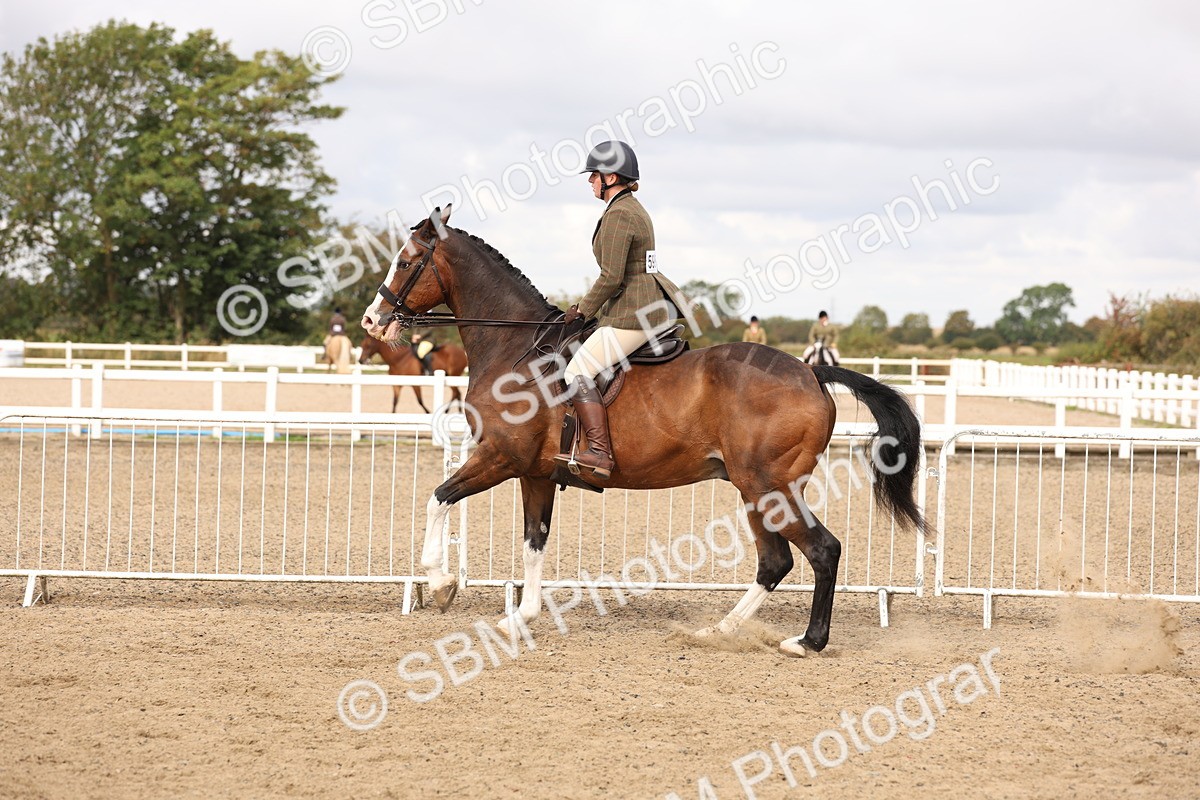 SBM_02835 - Class 53 - Ridden Competition Horse/Pony