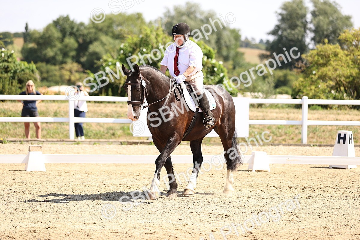 SBM_003615 - Intro 2