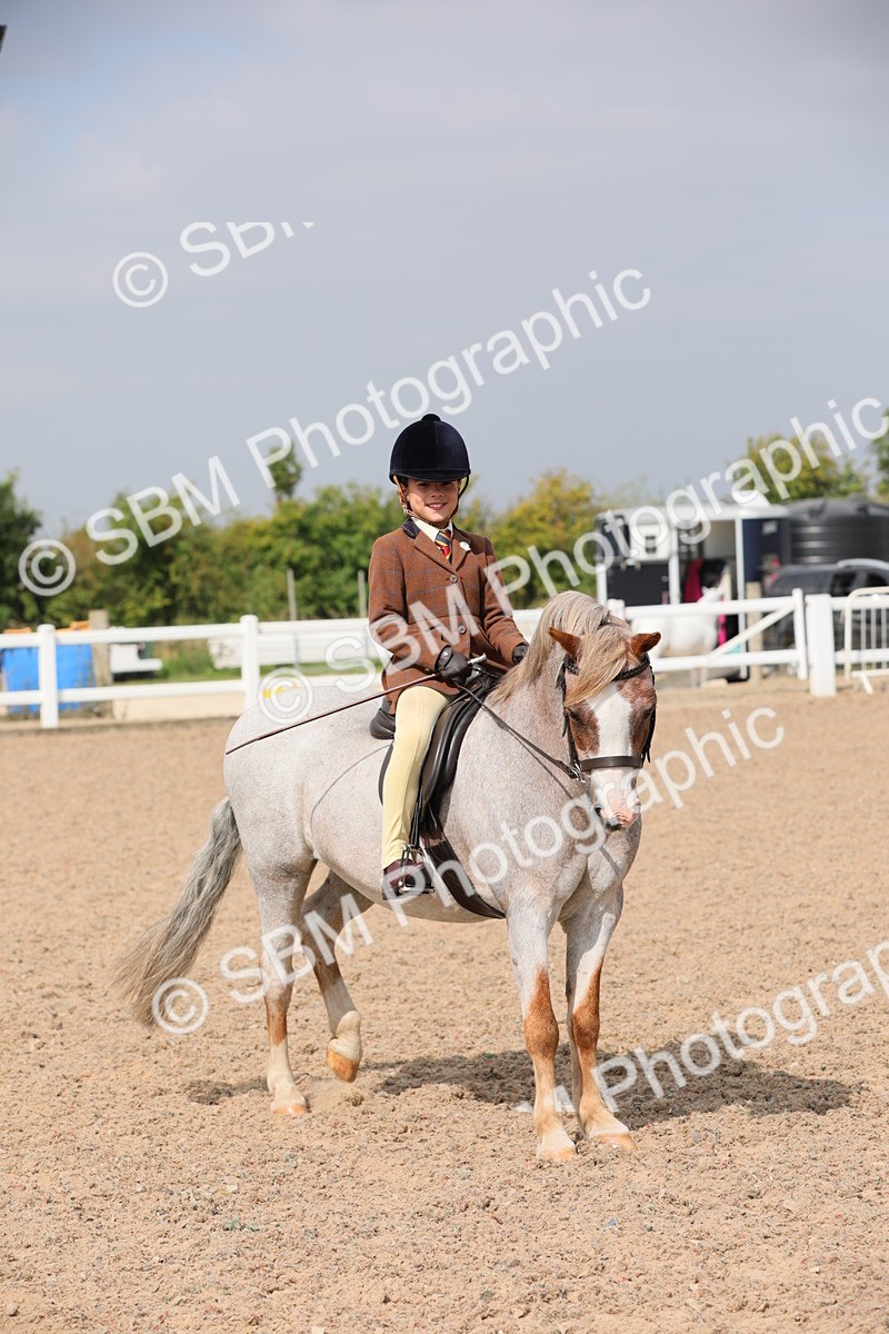 SBM_12826 - Class 307 Ridden Coloured Pony