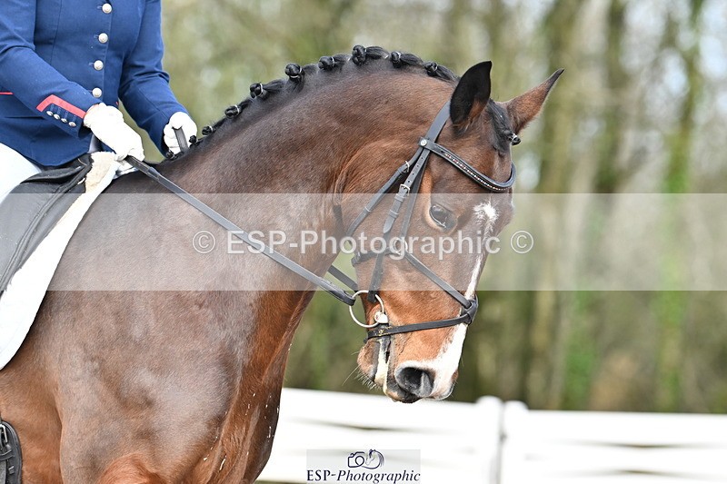 240218A-112842-06706 - 207-Charlotte.Dicker-Time.to.Fly.II