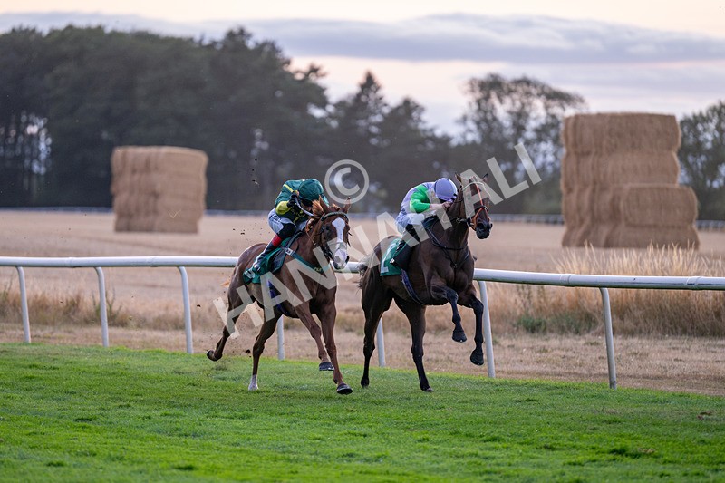 140826-Race 6-Recobella-1714 - Race 6 20.20pm Birra Moretti Handicap