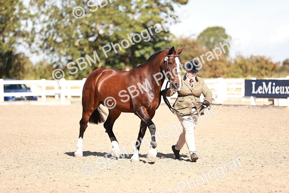 SBM_13227 - Class 405 - IH Show Cob