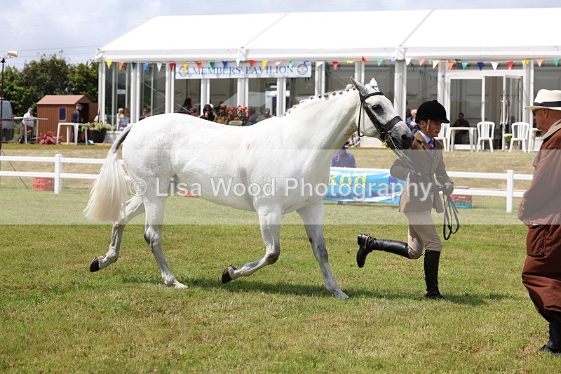 3E7A1629 - Class 9: Open Hunter