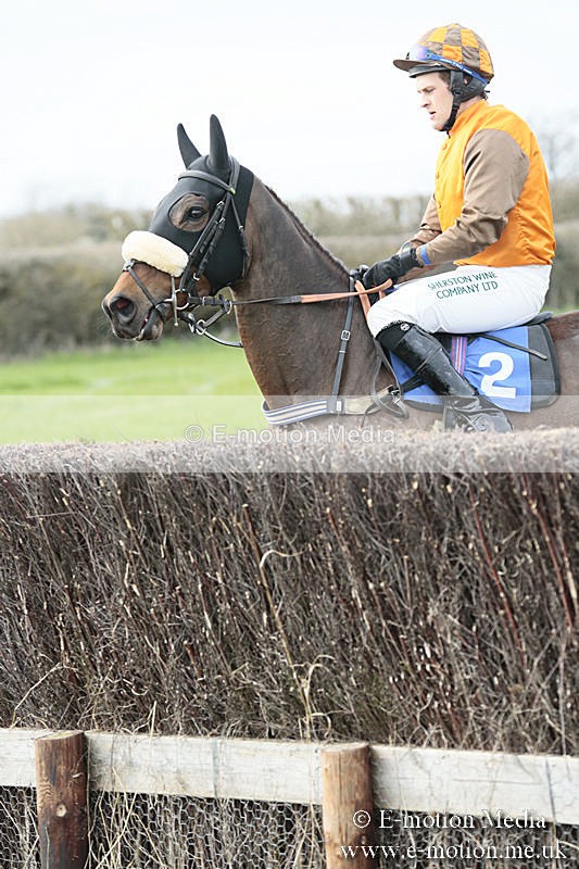 PtP 230319 220 - VWH Hunt Siddington Point-to-Point Racing 23/03/19