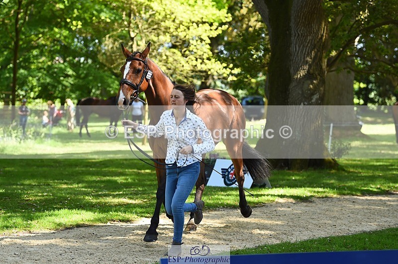 230524-153002-00309 - 352-TEQUILA_SUNRISE-Pippa_Taylor-WEDTrotUp+DR