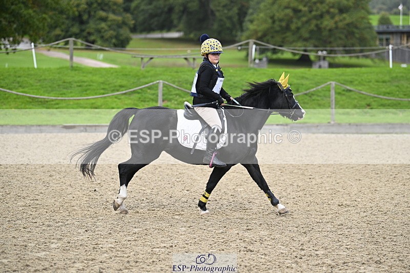 251005A-082236-02759 - Cls 01 GR 40cm