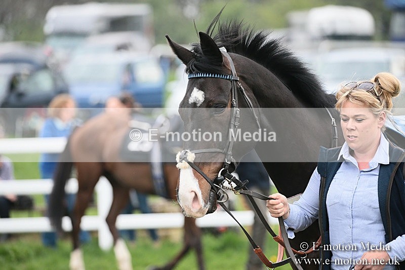 PtP 210418 132 - South & West Wilts Point-to-Point Larkhill 21/04/18