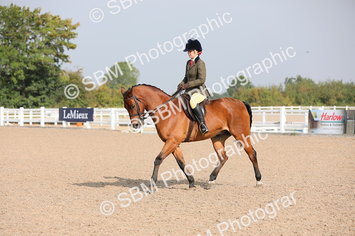SBM_10910 - Class 304 Ridden Part Bred Horse/Pony