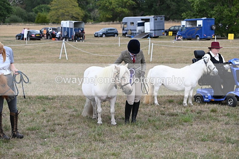 WJ6_7145 - Class 21 Shetland & Mini Horses