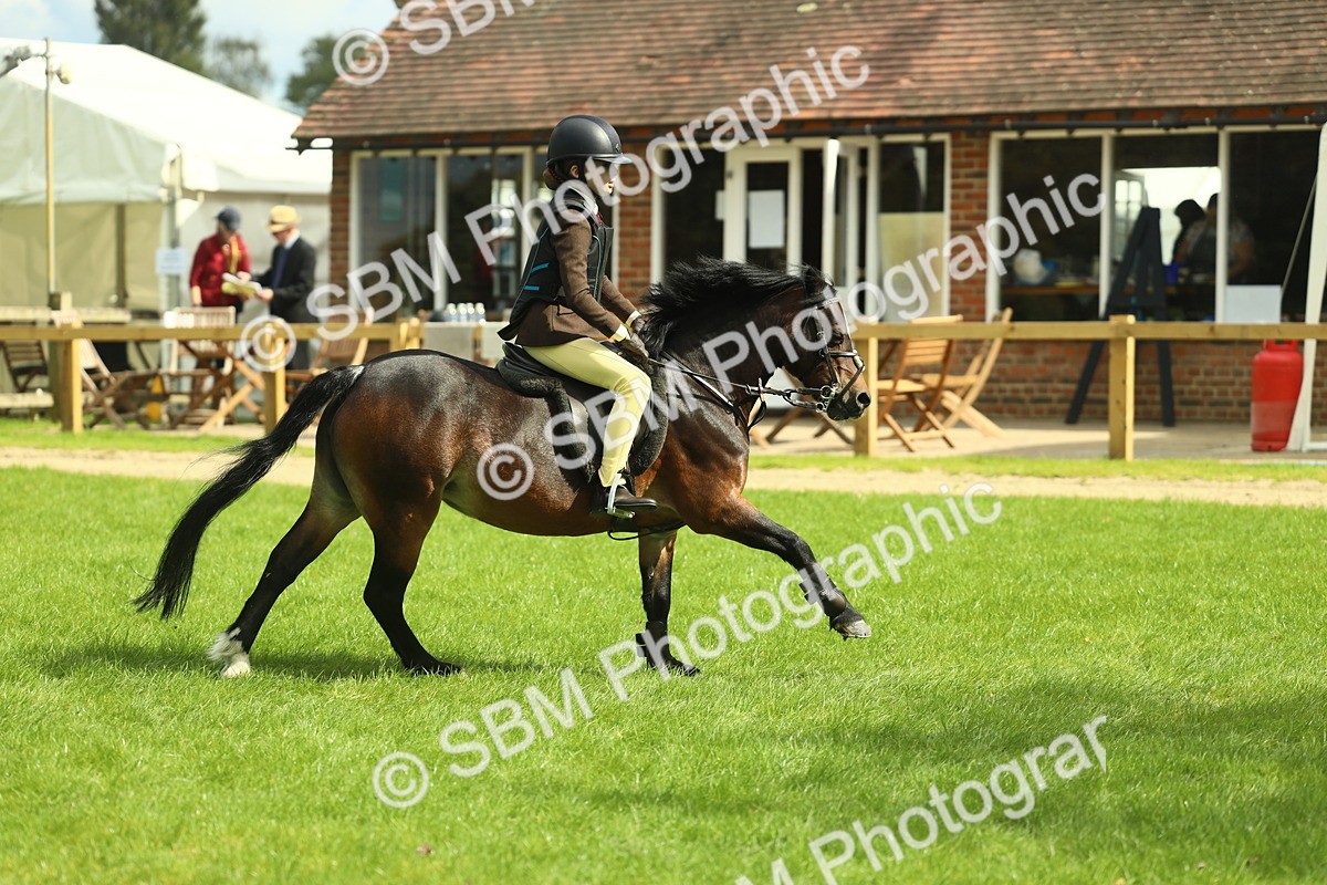 SBM_42749 - S30 - M&M Working hunter Pony