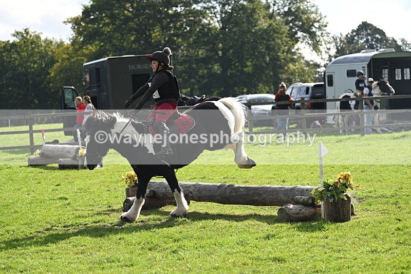 WJ7_3725 - 40cm Time 10:26 to 10:42