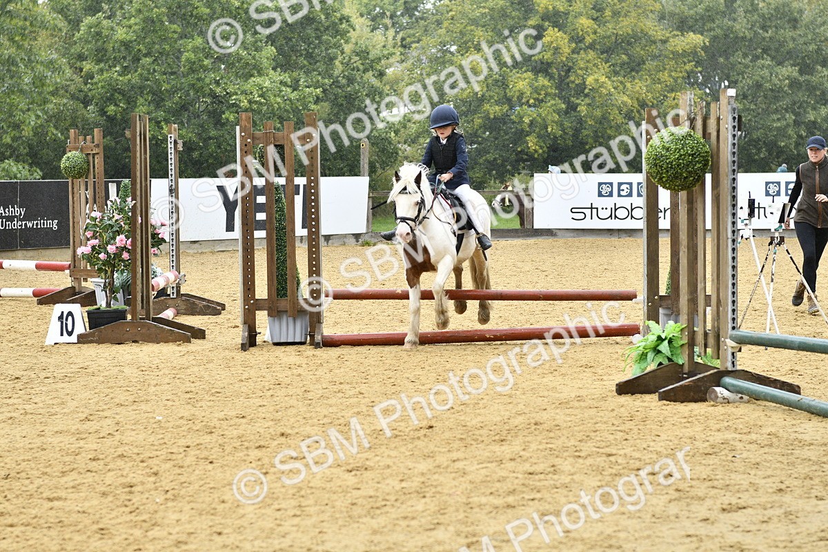 SBM_70919 - J3 - Mini Tour Junior Pony 40cm championship