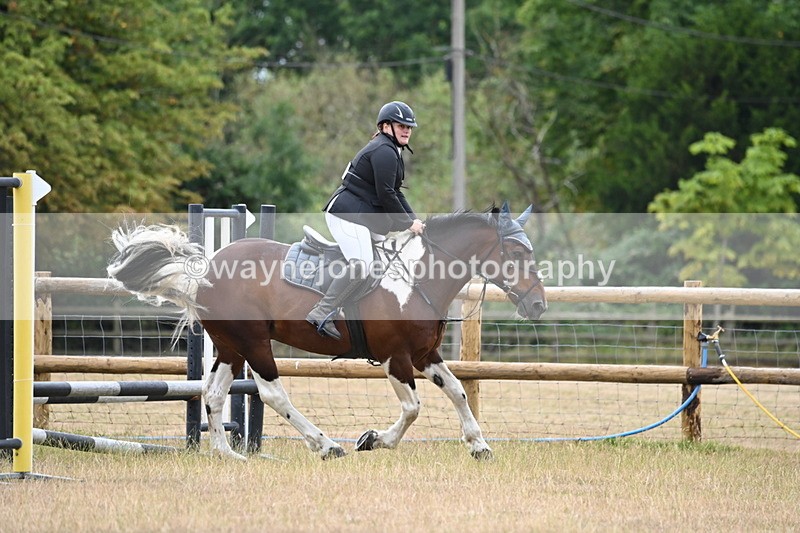 WJ6_0367 - Class 13 Novice Jumping 60cm