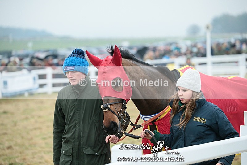 PtP 261123 183 - Hursley Hambledon Point-to-Point Larkhill 26 Nov 2023