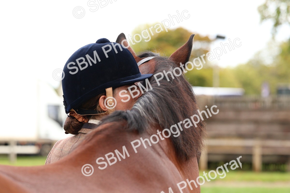 SBM_40755 - S25 -  Veteran In Hand