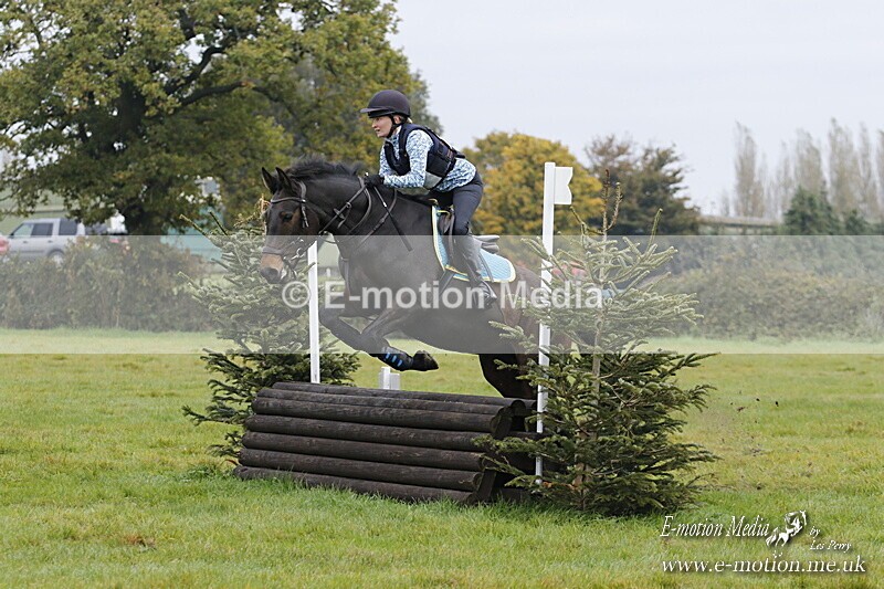 WWHT 181020 WWHT 181020 462 - WWEC Open Novice (0.80m) 18/10/20